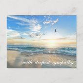 Peaceful Zee Shore Scene with Birds Sympathy Briefkaart (Voorkant)