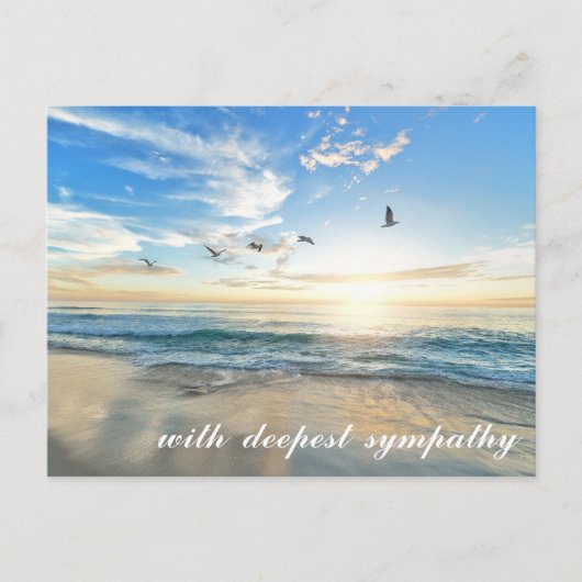 Peaceful Zee Shore Scene with Birds Sympathy Briefkaart (Voorkant)