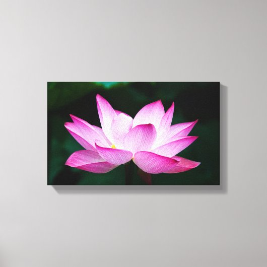 Peaceful Zen Lotus Flower Canvas Print (Voorkant)