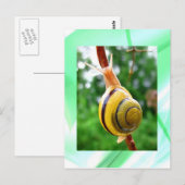 Peacefuliteit Briefkaart (Voorkant / Achterkant)