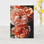 Peach Abriot Rozen Portret Art Note Kaart (Gele Bloem)