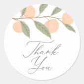 Peach Birthday Party Ronde Sticker (Voorkant)