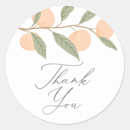 Peach Birthday Party Ronde Sticker (Voorkant)