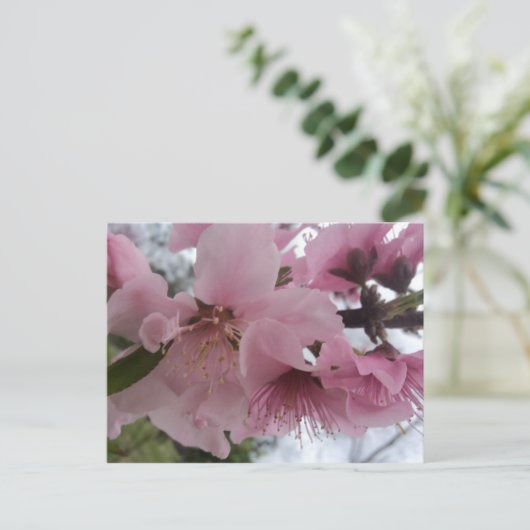 Peach Blossom Briefkaart (Staand voorkant)
