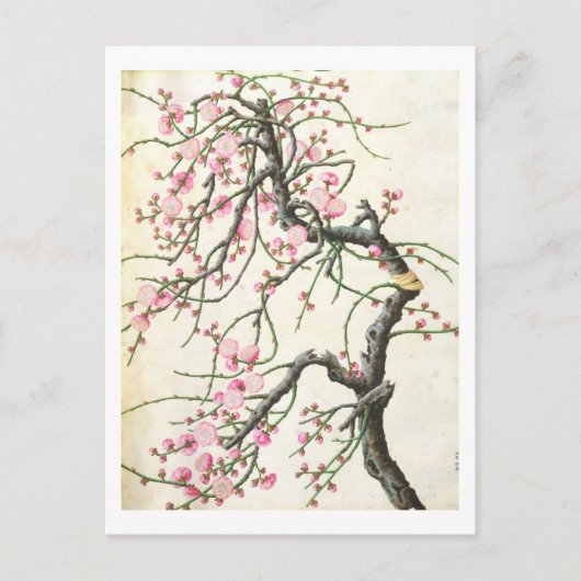 Peach blossom briefkaart (Voorkant)