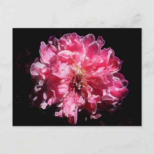 Peach Blossom Flower Briefkaart (Voorkant)