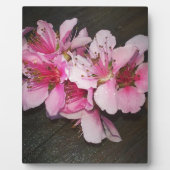 Peach Blossom Fotoplaat (Voorkant)