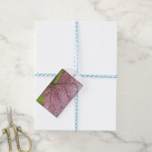 Peach Blossom Gift Labels Cadeaulabel (Met Touw)