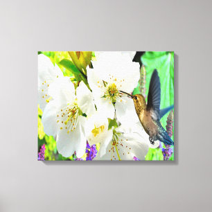 Peach Blossom Hummingbird Canvas Afdruk