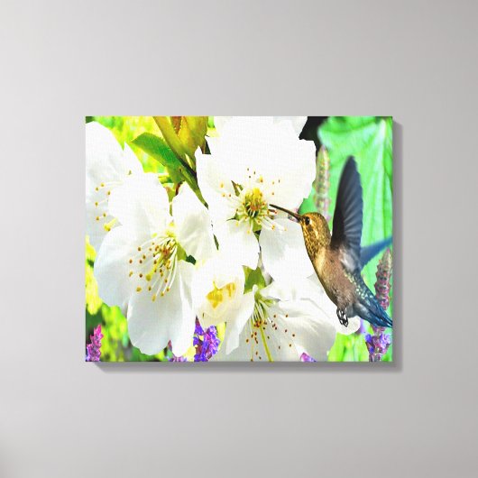 Peach Blossom Hummingbird Canvas Afdruk (Voorkant)