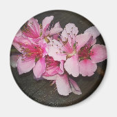 Peach Blossom Magneet (Voorkant)