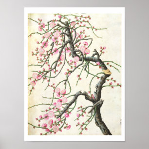Peach blossom poster