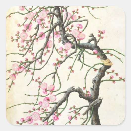 Peach blossom vierkante sticker (Voorkant)