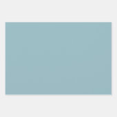 Peach Blue Butterflies Baby Shower Inpakpapier Vel (Voorkant 3)