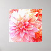 Peach Blush Dahlia Blossom Canvas Afdruk (Voorkant)