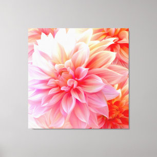 Peach Blush Dahlia Blossom Canvas Afdruk