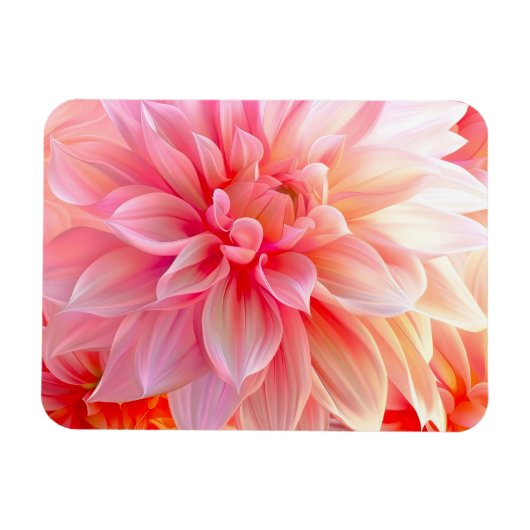 Peach Blush Dahlia Blossom Magneet (Horizontaal)