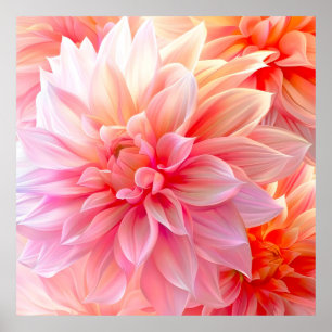 Peach Blush Dahlia Blossom Poster