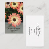 Peach Color African Daisies Visitekaartje (Voorkant / Achterkant)