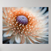 Peach Dalia Poster (Voorkant)