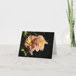 Peach Daylily Bedankkaart