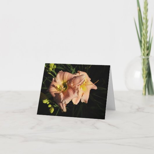 Peach Daylily Bedankkaart (Voorkant)