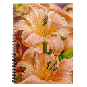 Peach Daylily Notitieboek