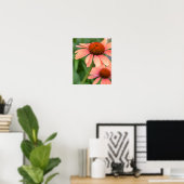 Peach Echinacea Flowers Poster (Thuiskantoor)