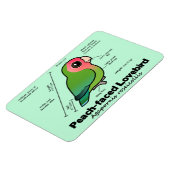 Peach-Faced Lovebird Statistieken Magneet (Linkerzijde)