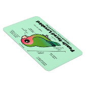 Peach-Faced Lovebird Statistieken Magneet (Rechterzijde)