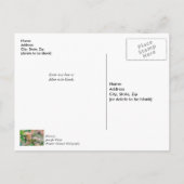 Peach Flowering Quince Dank u Post-kaart Briefkaart (Achterkant)