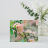 Peach Flowering Quince Dank u Post-kaart Briefkaart (Staand voorkant)
