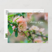 Peach Flowering Quince denking of you Briefkaart (Voorkant / Achterkant)