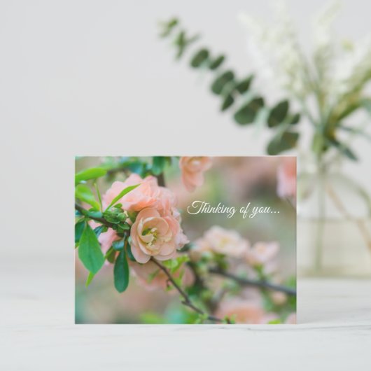 Peach Flowering Quince denking of you Briefkaart (Staand voorkant)