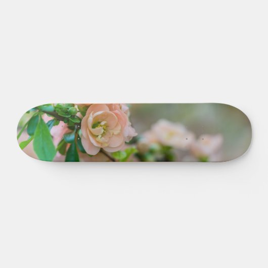 Peach Flowering Quince Persoonlijk Skateboard (Horizontaal)