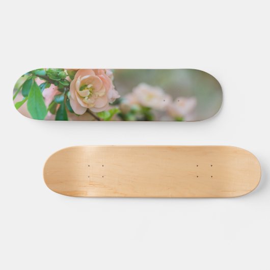 Peach Flowering Quince Persoonlijk Skateboard (Horizontaal)