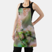 Peach Flowering Quince Schort (Insitu)