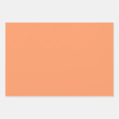 Peach Fruit Inpakpapier Vel (Voorkant 3)