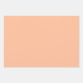 Peach Fuzz Cherry Gingham Pattern Inpakpapier Vel (Voorkant 2)