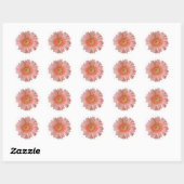 Peach Gerber Daisy Sticker (Vel)