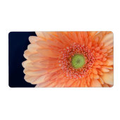 Peach Gerbera Etiket (Voorkant)
