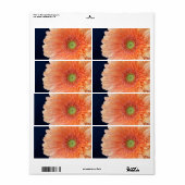 Peach Gerbera Etiket (Full Sheet)