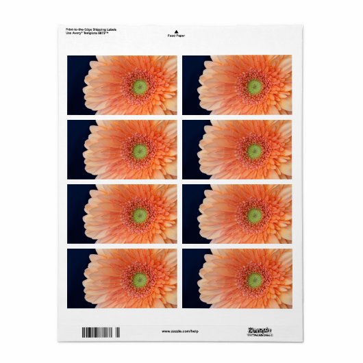 Peach Gerbera Etiket (Full Sheet)