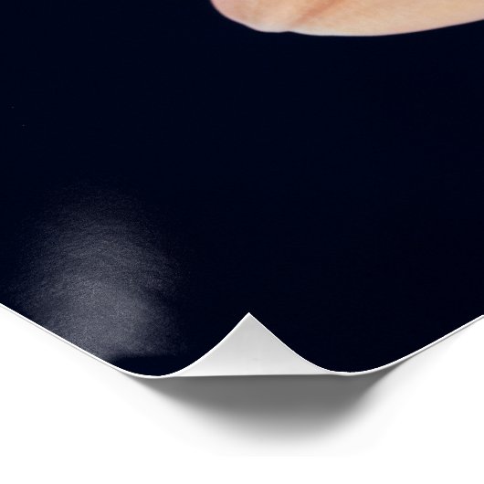 Peach Gerbera Perfect Poster (Hoek)