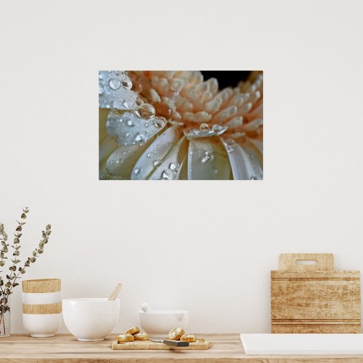 Peach Gerbera Poster (Keuken)