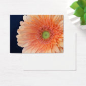 Peach Gerbera Visitekaartje (Bureau)