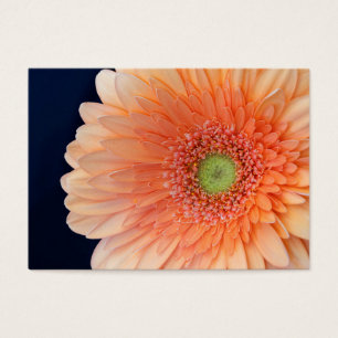 Peach Gerbera Visitekaartje