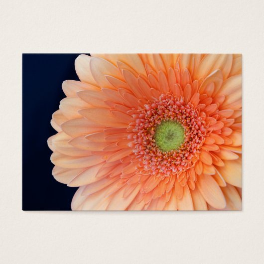 Peach Gerbera Visitekaartje (Voorkant)