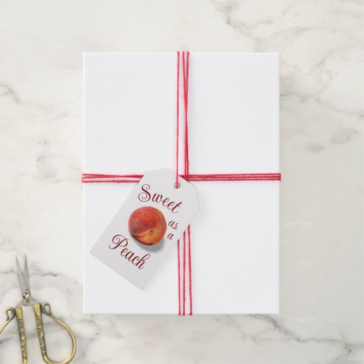 Peach Gift Label Cadeaulabel (Met Touw)