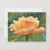 Peach Gold Rose Flower Art Note Card Set Notitiekaartje (Voorkant)